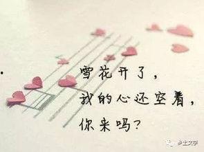 娱乐吃瓜酱伤感语录短句